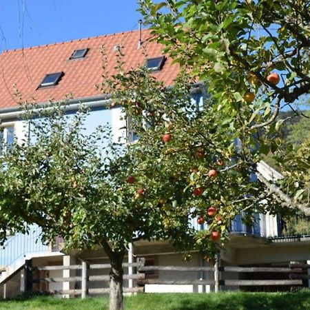 Les Locations De Stephanie ,Gite Le Verger Sondernach Ngoại thất bức ảnh